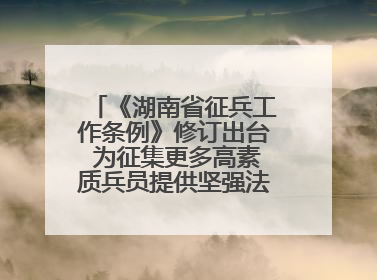 《湖南省征兵工作条例》修订出台 为征集更多高素质兵员提供坚强法治保障