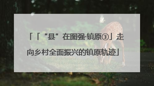 「“县”在图强·镇原③」走向乡村全面振兴的镇原轨迹