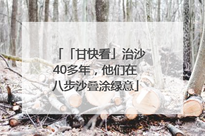 「甘快看」治沙40多年，他们在八步沙叠涂绿意