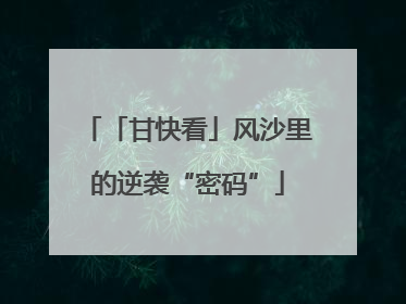 「甘快看」风沙里的逆袭“密码”