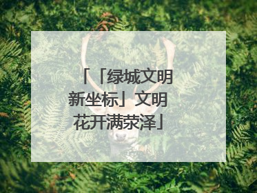 「绿城文明新坐标」文明花开满荥泽