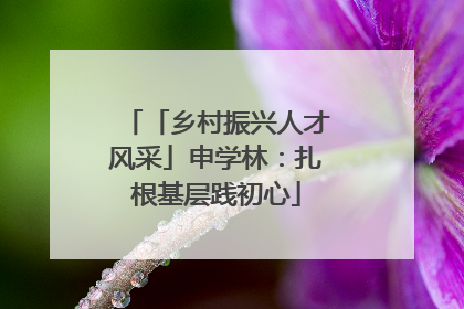 「乡村振兴人才风采」申学林：扎根基层践初心