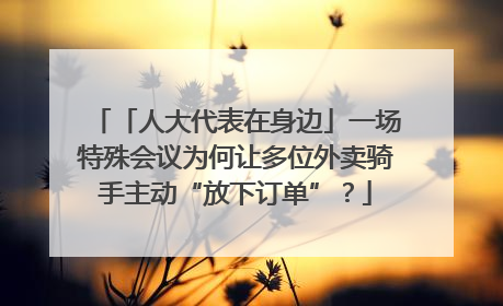 「人大代表在身边」一场特殊会议为何让多位外卖骑手主动“放下订单”？