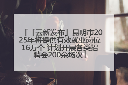 「云新发布」昆明市2025年将提供有效就业岗位16万个 计划开展各类招聘会200余场次