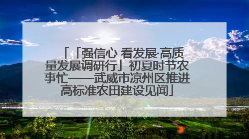 「强信心 看发展·高质量发展调研行」初夏时节农事忙——武威市凉州区推进高标准农田建设见闻