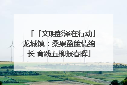 「文明彭泽在行动」龙城镇：桑果盈筐情绵长 育践五柳报春晖