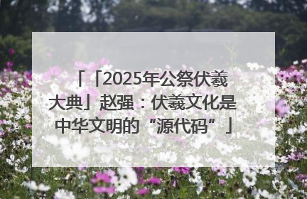 「2025年公祭伏羲大典」赵强：伏羲文化是中华文明的“源代码”