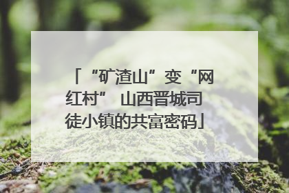 “矿渣山”变“网红村” 山西晋城司徒小镇的共富密码