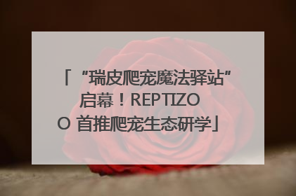 “瑞皮爬宠魔法驿站” 启幕！REPTIZOO 首推爬宠生态研学