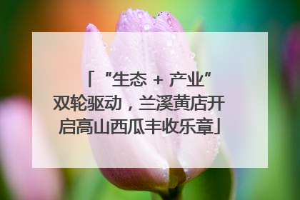 “生态 + 产业”双轮驱动，兰溪黄店开启高山西瓜丰收乐章