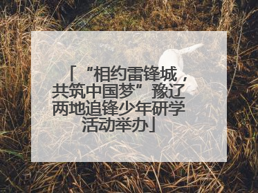 “相约雷锋城，共筑中国梦”豫辽两地追锋少年研学活动举办