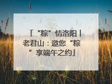 “粽”情洛阳丨老君山：邀您“粽”享端午之约