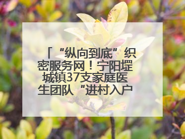 “纵向到底”织密服务网！宁阳堽城镇37支家庭医生团队“进村入户”，让健康政策“落地生根”