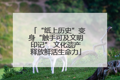 “纸上历史”变身“触手可及文明印记” 文化遗产释放鲜活生命力
