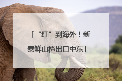 “红”到海外！新泰鲜山楂出口中东