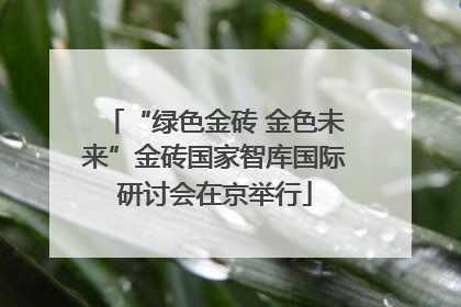 “绿色金砖 金色未来”金砖国家智库国际研讨会在京举行