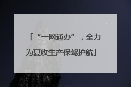 “一网通办”，全力为夏收生产保驾护航