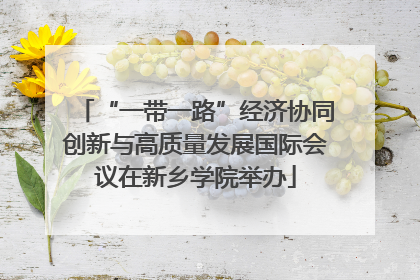 “一带一路”经济协同创新与高质量发展国际会议在新乡学院举办