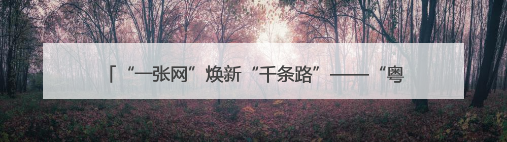 “一张网”焕新“千条路”——“粤通行”用户规模即将突破600万