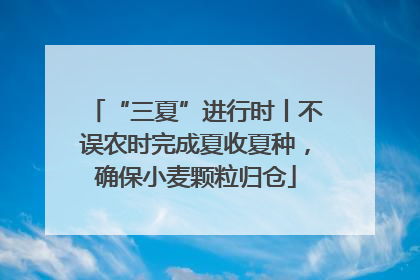 “三夏”进行时丨不误农时完成夏收夏种，确保小麦颗粒归仓