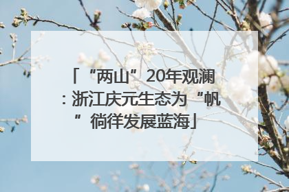 “两山”20年观澜：浙江庆元生态为“帆”徜徉发展蓝海