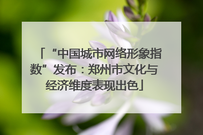 “中国城市网络形象指数”发布：郑州市文化与经济维度表现出色