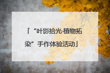 “叶影拾光·植物拓染”手作体验活动