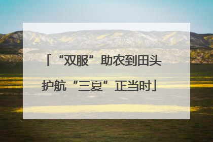 “双服”助农到田头 护航“三夏”正当时