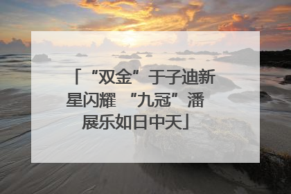 “双金”于子迪新星闪耀 “九冠”潘展乐如日中天