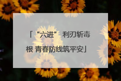 “六进” 利刃斩毒根 青春防线筑平安