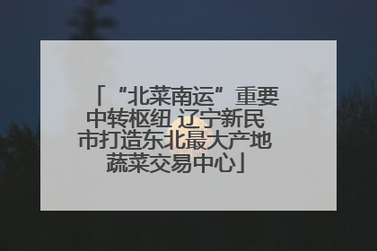 “北菜南运”重要中转枢纽 辽宁新民市打造东北最大产地蔬菜交易中心