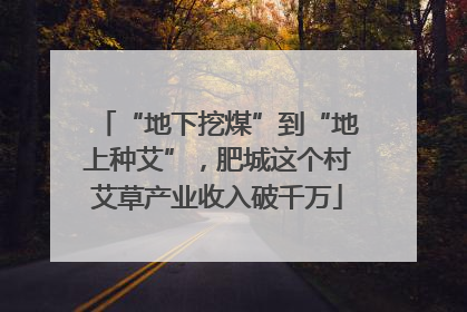 “地下挖煤”到“地上种艾”，肥城这个村艾草产业收入破千万