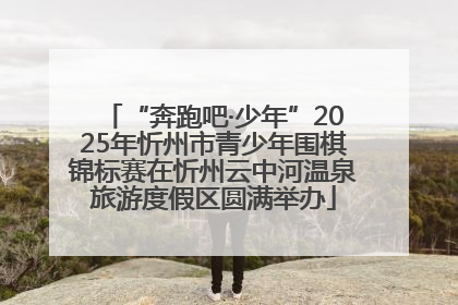 “奔跑吧·少年”2025年忻州市青少年围棋锦标赛在忻州云中河温泉旅游度假区圆满举办