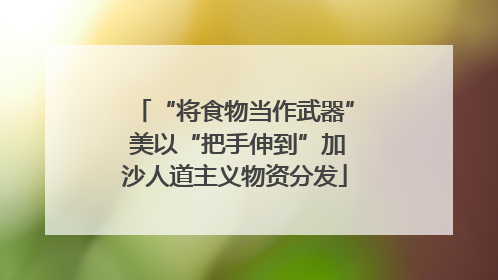 “将食物当作武器” 美以“把手伸到”加沙人道主义物资分发
