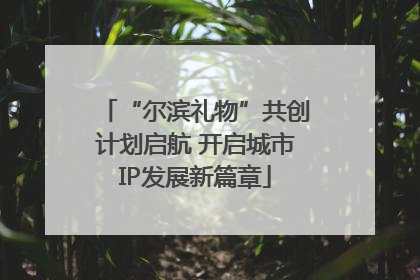 “尔滨礼物”共创计划启航 开启城市IP发展新篇章