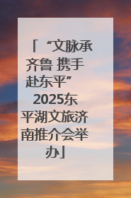 “文脉承齐鲁 携手赴东平” 2025东平湖文旅济南推介会举办