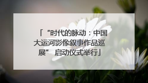 “时代的脉动：中国大运河影像叙事作品巡展” 启动仪式举行