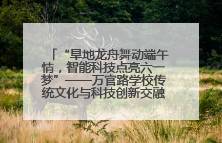“旱地龙舟舞动端午情，智能科技点亮六一梦”——万官路学校传统文化与科技创新交融的精彩盛宴