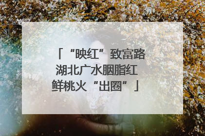 “映红”致富路 湖北广水胭脂红鲜桃火“出圈”