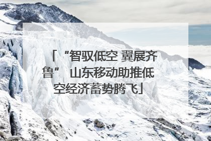 “智驭低空 翼展齐鲁” 山东移动助推低空经济蓄势腾飞