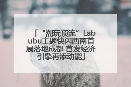 “潮玩顶流”Labubu主题快闪西南首展落地成都 首发经济引擎再添动能