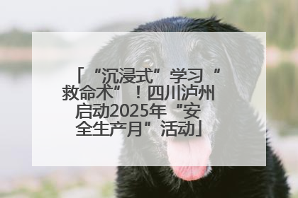 “沉浸式”学习“救命术”！四川泸州启动2025年“安全生产月”活动