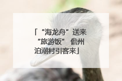 “海龙舟”送来“旅游饭” 儋州泊潮村引客来