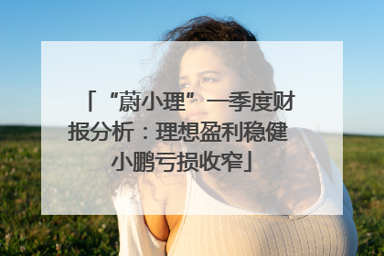 “蔚小理”一季度财报分析：理想盈利稳健 小鹏亏损收窄
