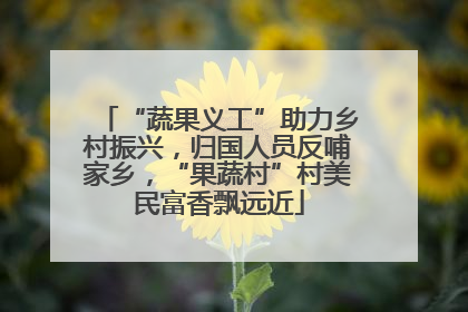 “蔬果义工”助力乡村振兴，归国人员反哺家乡，“果蔬村”村美民富香飘远近