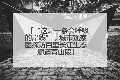 “这是一条会呼吸的岸线”，城市观察团探访百里长江生态廊道青山段