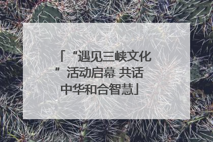 “遇见三峡文化”活动启幕 共话中华和合智慧