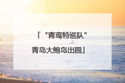“青鸾特巡队”青岛大鲍岛出圈