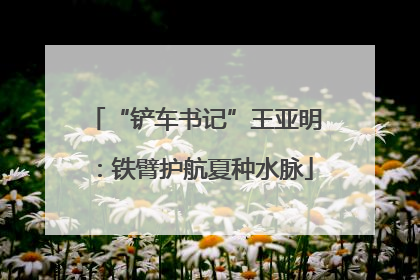 “铲车书记”王亚明：铁臂护航夏种水脉