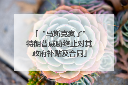 “马斯克疯了” 特朗普威胁终止对其政府补贴及合同